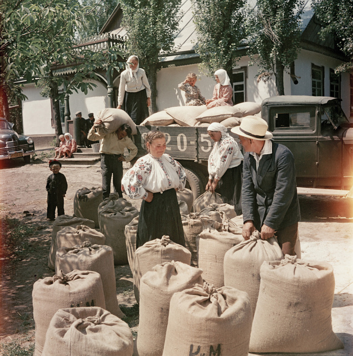 Выдача пшеницы и продуктов первой необходимости на трудодни. Украина, 1950-е годы. Фото: Semyon Osipovich Friedland.