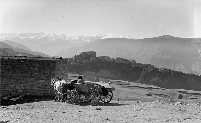 Основной транспорт в горных районах. Дагестан,  1933 год. 
