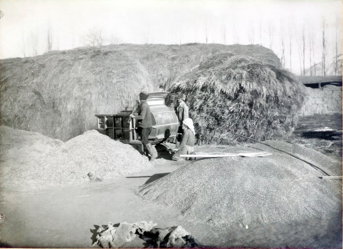 Веяние пшеницы механической веялкой в 1904 году. Туркестан, Пишпек.