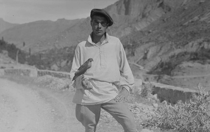 Молодой человек с охотничьим соколом. Дагестан, 1933 год.