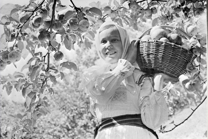 Девушка с недавно собранными яблоками. СССР, Марийская автономная республика, колхоз Авроры, 30-е годы 20 века.