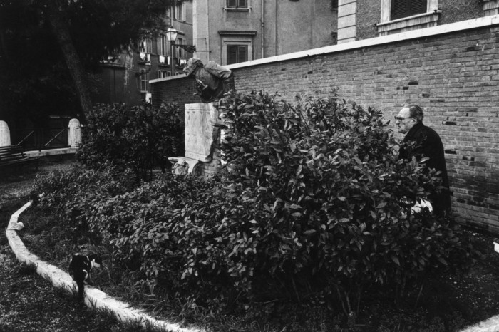Уход за растениями. Италия, Рим, 1980 год.