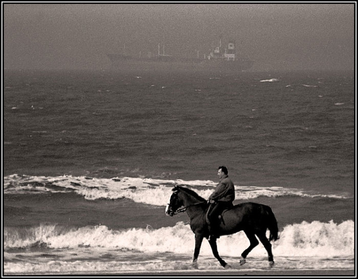 Конная прогулка вдоль берега Черного моря. 