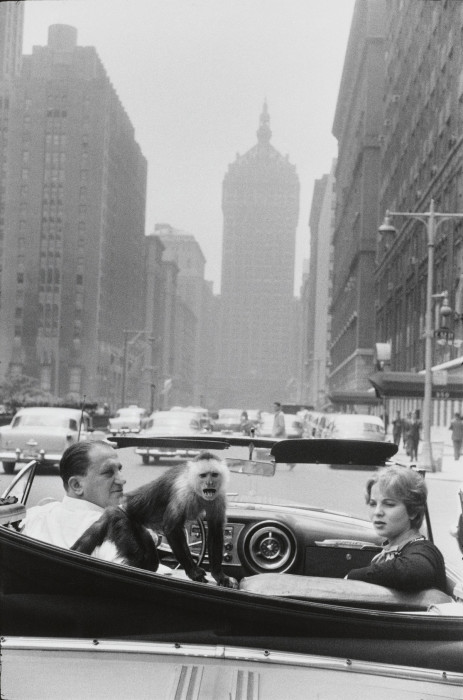 Поездка по Парк-авеню. США, Нью-Йорк, 1959 год.
