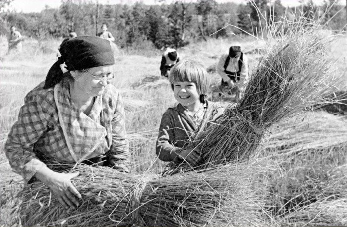 Пожилая колхозница с внучкой во время сбора урожая. СССР, 30-е годы 20 века. 
