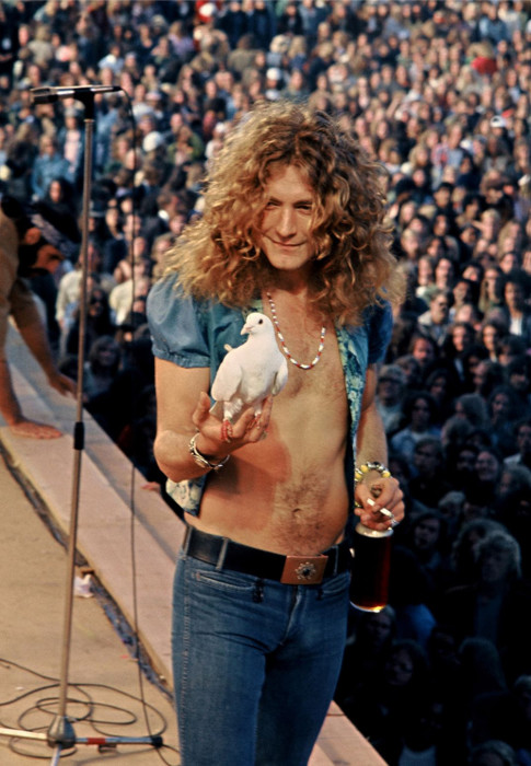 Роберт Плант на сцене с голубем, 1973 год. Автор фотографии: Джеймс Фортуна.