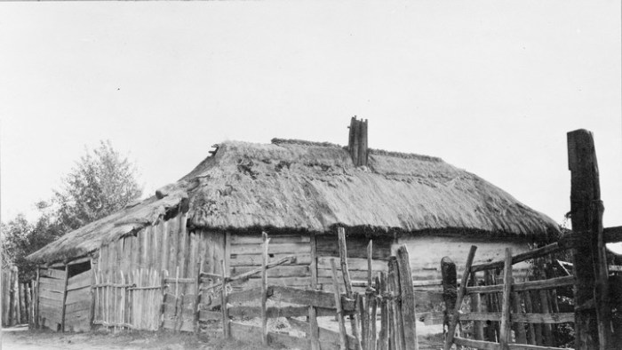 Дом на окраине села. Россия, село Бородино, 1867 год. 