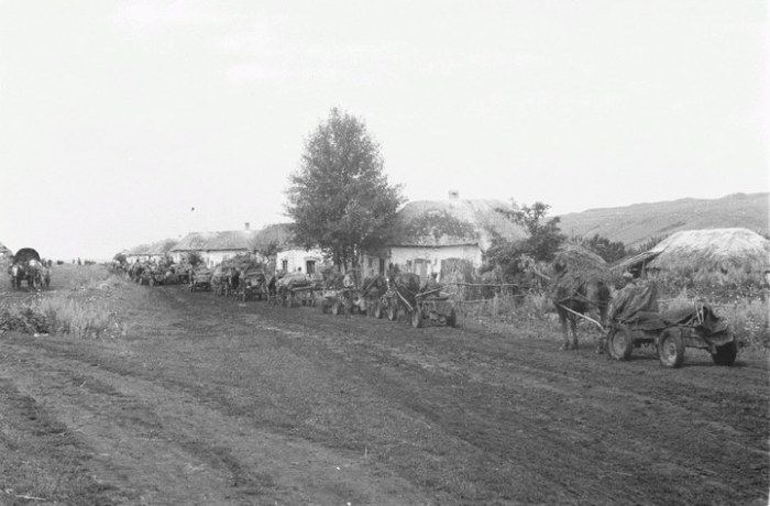 Немецкая колонна покидает деревню. СССР, Белгородская область, 1943 год.