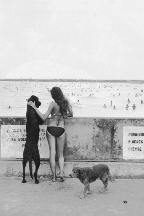 Девушка с собаками. США, Майами, 1977 год.