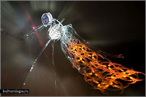 Дизайнерские малярийные комары от  Miri Chais Studio