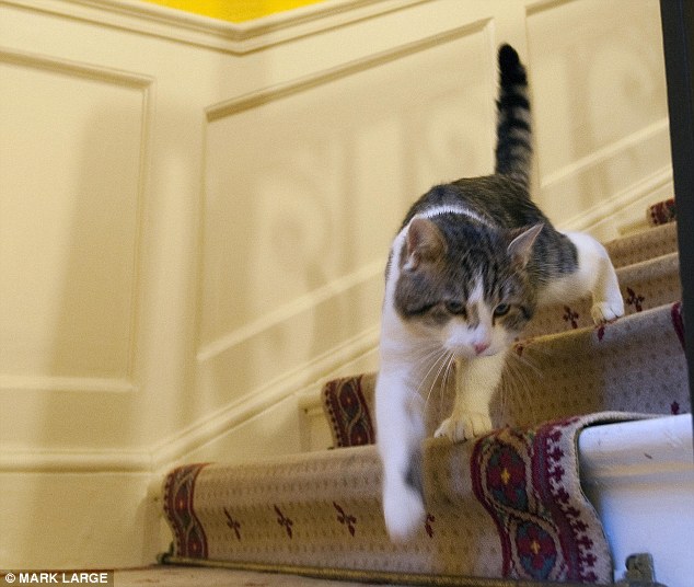 Вверх по карьерной лестнице: из приюта в резиденцию главы правительства. | Фото: dailymail.co.uk.