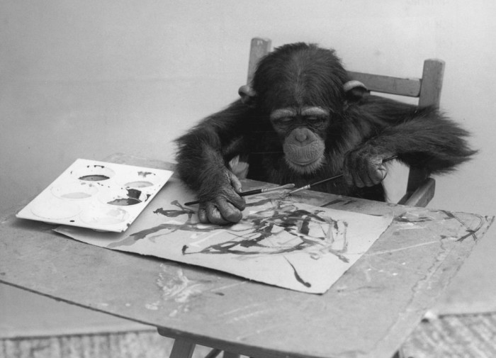 Шимпанзе-художник за работой. | Фото: gagdaily.com.