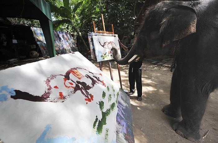 Тайский слон рисует слона. | Фото: vmir.su.