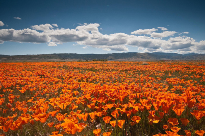 Потрясающий вид на долину Antelope Valley.