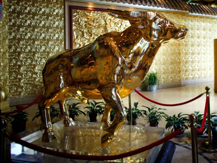 Золотой бык, стоящий на 60-м этаже небоскрёба в Хуаси. / Фото: www.thisweekonwallstreet.com