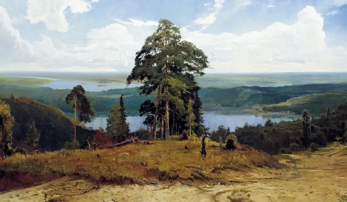 Русские пейзажи Александра Афонина, которого называют современным Шишкиным.