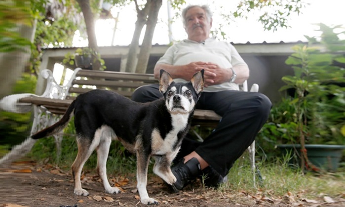  «Может, я и похож на старого чудака… Но это мой выбор». Эль Пепе - экс президент Уругвая и его трёхногая собака по кличке Мануэла. 