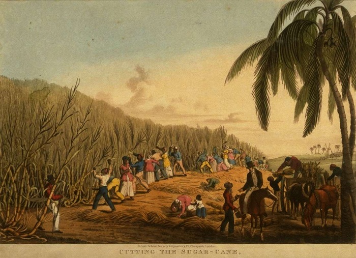  Уборка сахарного тростника (Антигуа, 1823 год)