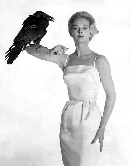 Фото Типпи Хедрен в период съемок фильма "Птицы"