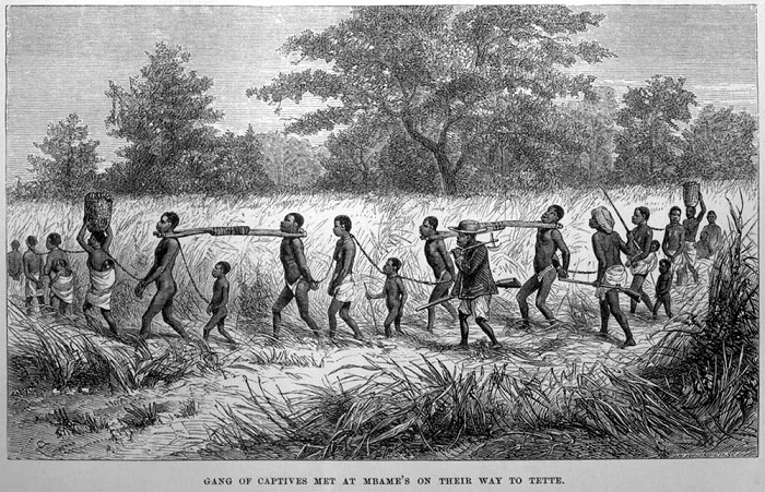 Колонна связанных африканцев под вооруженной охраной (Центральная Африка, 1861 год)