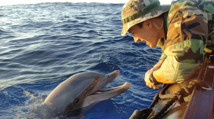 Океанариум для обучения дельфинов был открыт в Казачьей бухте. /Фото: webpulse.imgsmail.ru