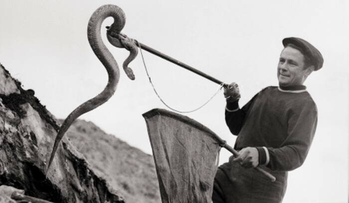Ремеслу змеелова около 100 лет. /Фото: bagira.guru