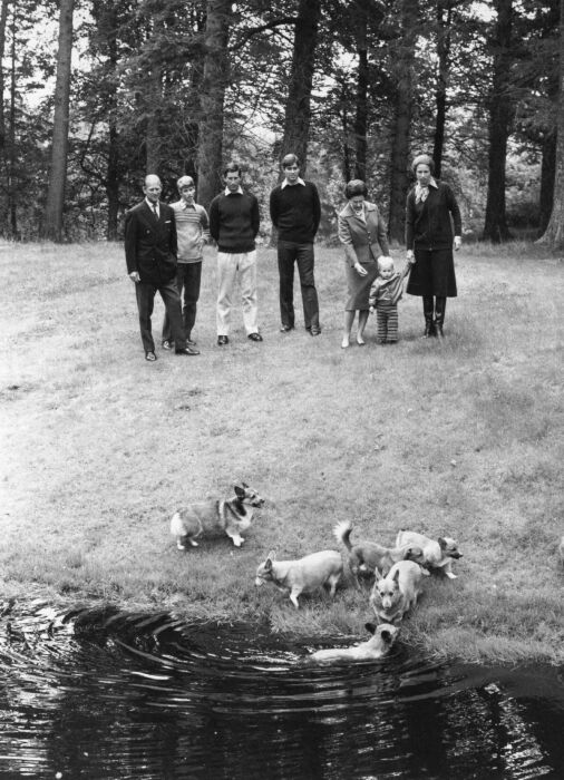 Елизавета и Филипп со своими детьми и маленьким внуком Питером Филиппсом на прогулке с корги, 31 октября 1979 год. /Фото: cdn.vox-cdn.com