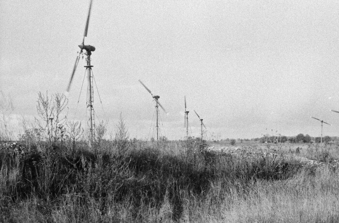Ветряные генераторы на острове Сааремаа. /Фото: cdni.rbth.com
