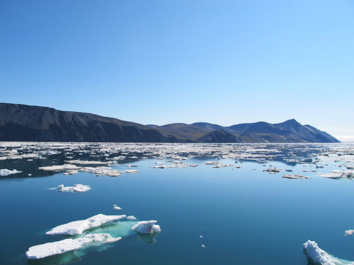 Ледяной остров представляет политический интерес для многих государств. /Фото: den-za-dnem.ru