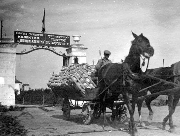 Помощь еврейским переселенцам-агрария оказывала американская организация «Джойнт». /Фото: cont.ws