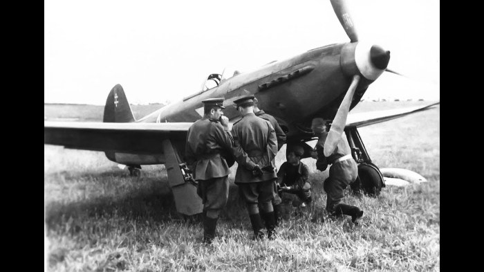 Русские лётчики успешно уничтожали здоровых немцев./Фото: i.ytimg.com