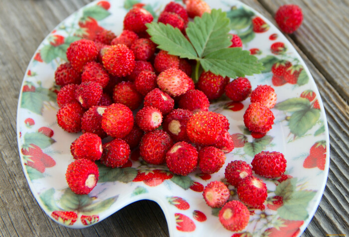 Земляника была любимой ягодой Александра I. /Фото: i.artfile.ru