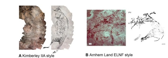 Схожесть наскальных рисунком древних людей в Кимберли и Арнем-Ленде. /Фото: sciencedirect.com
