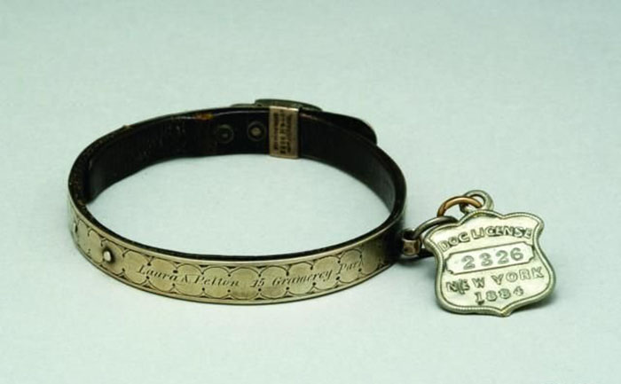 Металлический ошейник с гравировкой, Англия, XVIII в. На нем указано имя собаки, а также дата и место ее регистрации: 1884 год, Нью-Йорк. /Фото:opa.kg