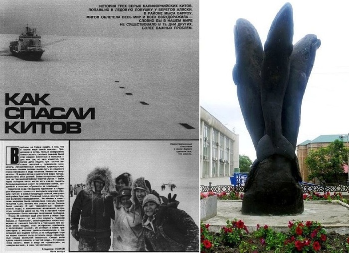 Один американец подарил городу Владивостоку памятник, посвященный спасенным китам. 