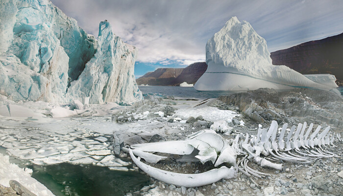 Ледниковый период. /Фото: yandex.ru