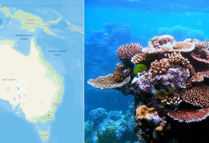 Название морю дали красивейшие кораллы.