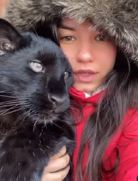 Чёрная домашняя пантера девушки из Сибири очаровала интернет