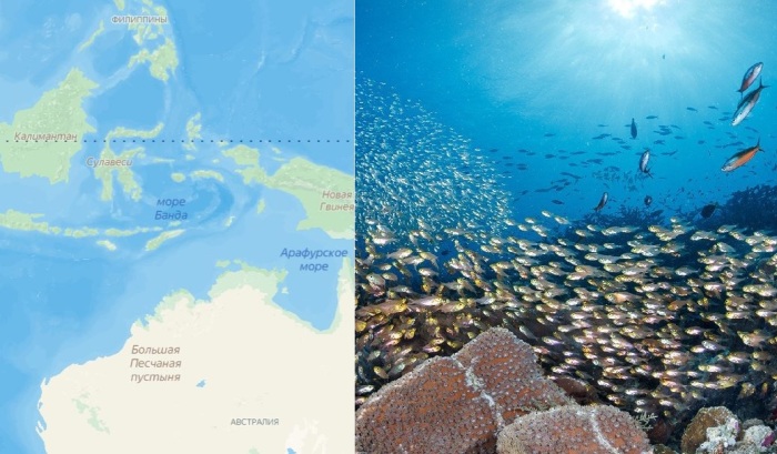 Где находятся 5 самых глубоких морей на Земле, и почему именно там такая чудовищная глубина 