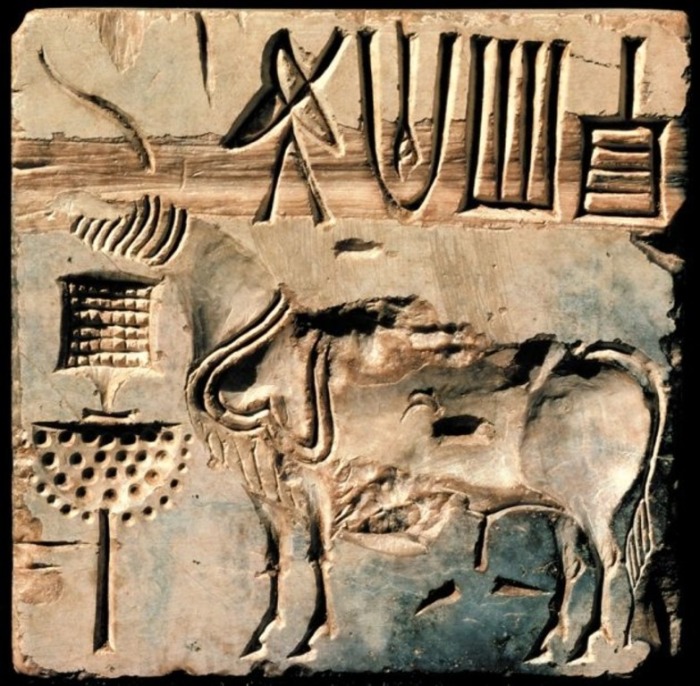 Иероглифоподобные письмена древних горожан. /Фото:pinterest.com