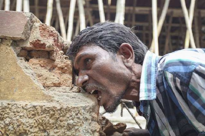 Он с удовольствием демонстрирует свои способности грызть камни. /Фото: Доминик Родригус / Barcroft India