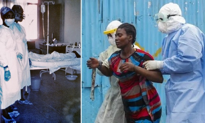https://kulturologia.ru/files/u23581/7042_lores-Ebola-Zaire-CDC_Photo.jpg