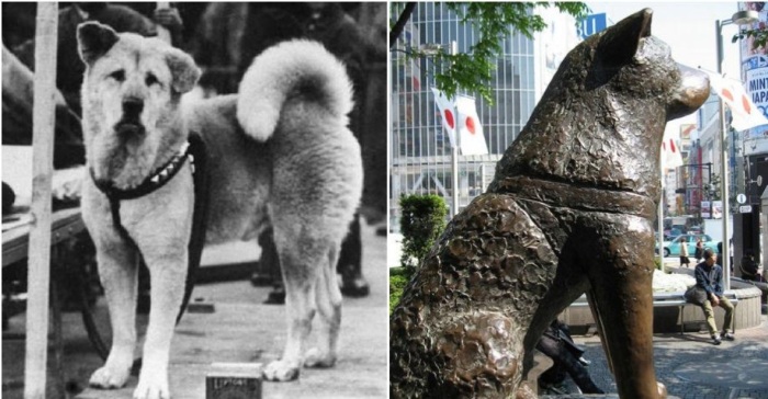 Фото пса Хатико и его памятника. /Фото: centralasia.media