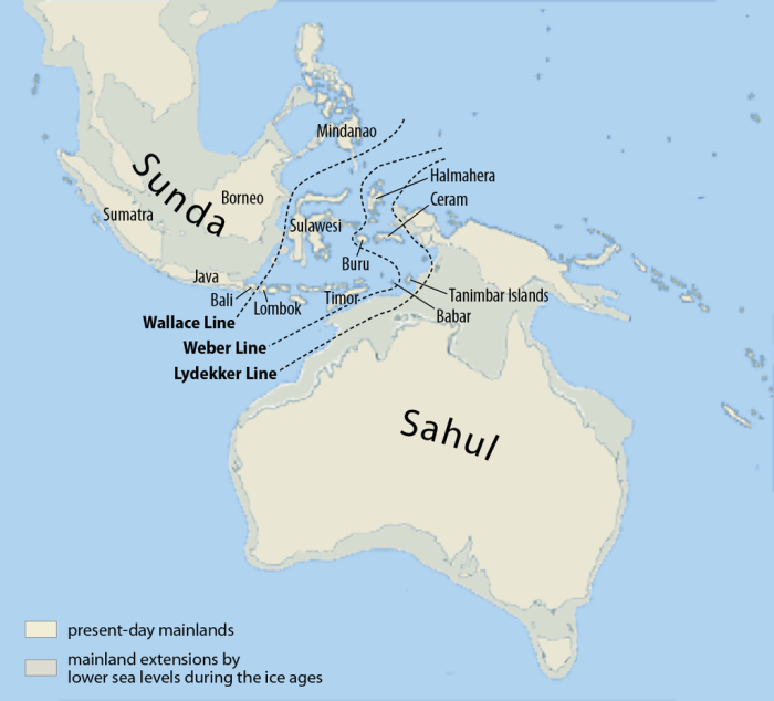 Так выглядела Австралия тысячи лет назад. /Фото: wikipedia.org
