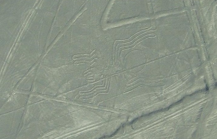 Один из геоглифов плато Наска/ Фото:Raymond Ostertag 
