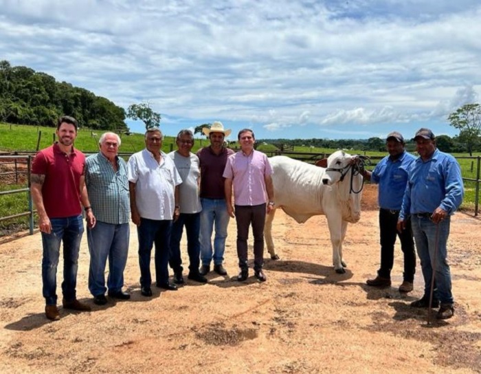 Первая корова Бразилии в окружении верных фермеров. /Фото: аккаунт Viatina-19 FIV Mara Mоveis в соцсети.
