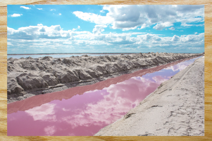 Одно из прекрасных фото розового водоёма.