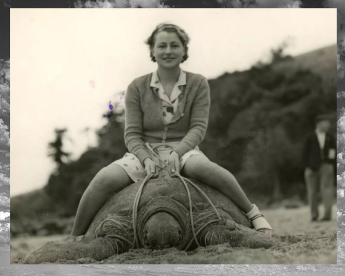 Черепаха и её наездница. Старое фото.
