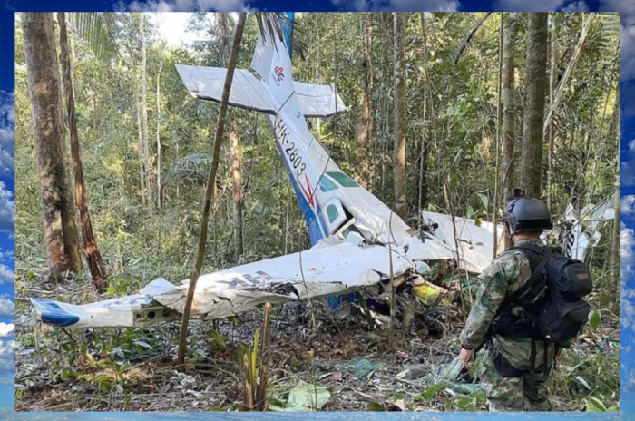 Упавший в джунгли самолёт.