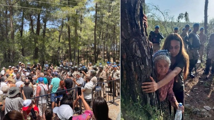 Жители протестуют против вырубки лесов в Акбелене, и поп-певец их поддержал.